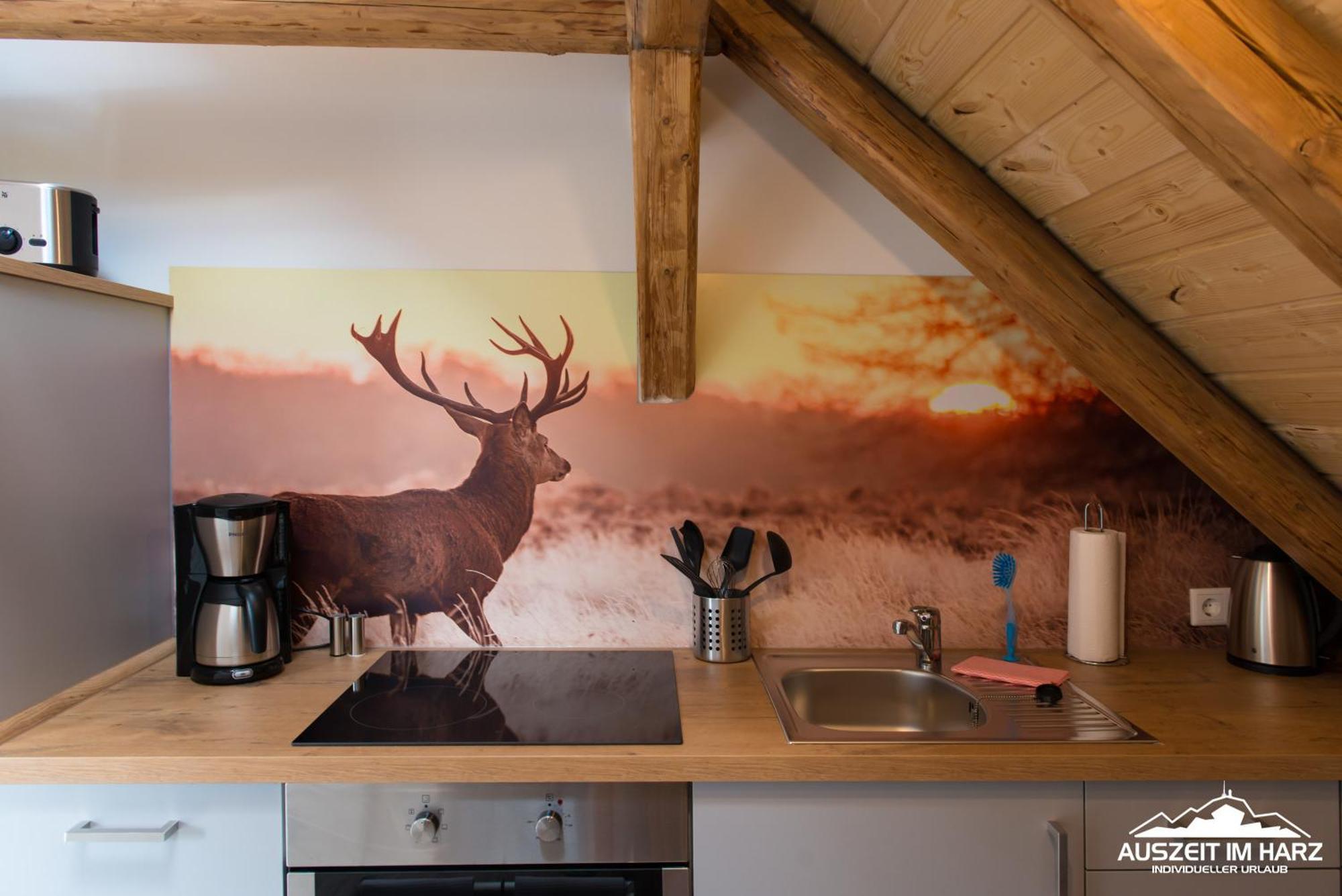 Auszeit Im Harz - Haus 2 Wohnung 5 施尔奇 外观 照片