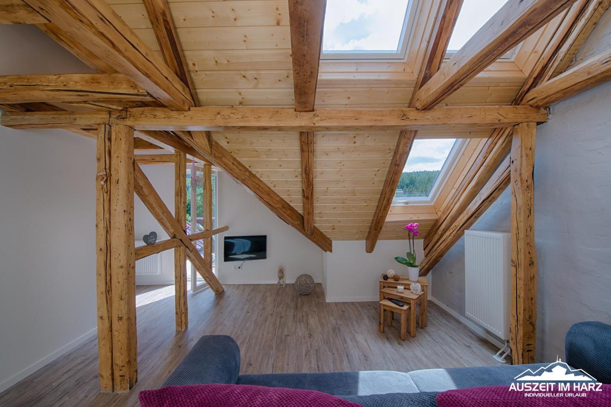 Auszeit Im Harz - Haus 2 Wohnung 5 施尔奇 外观 照片