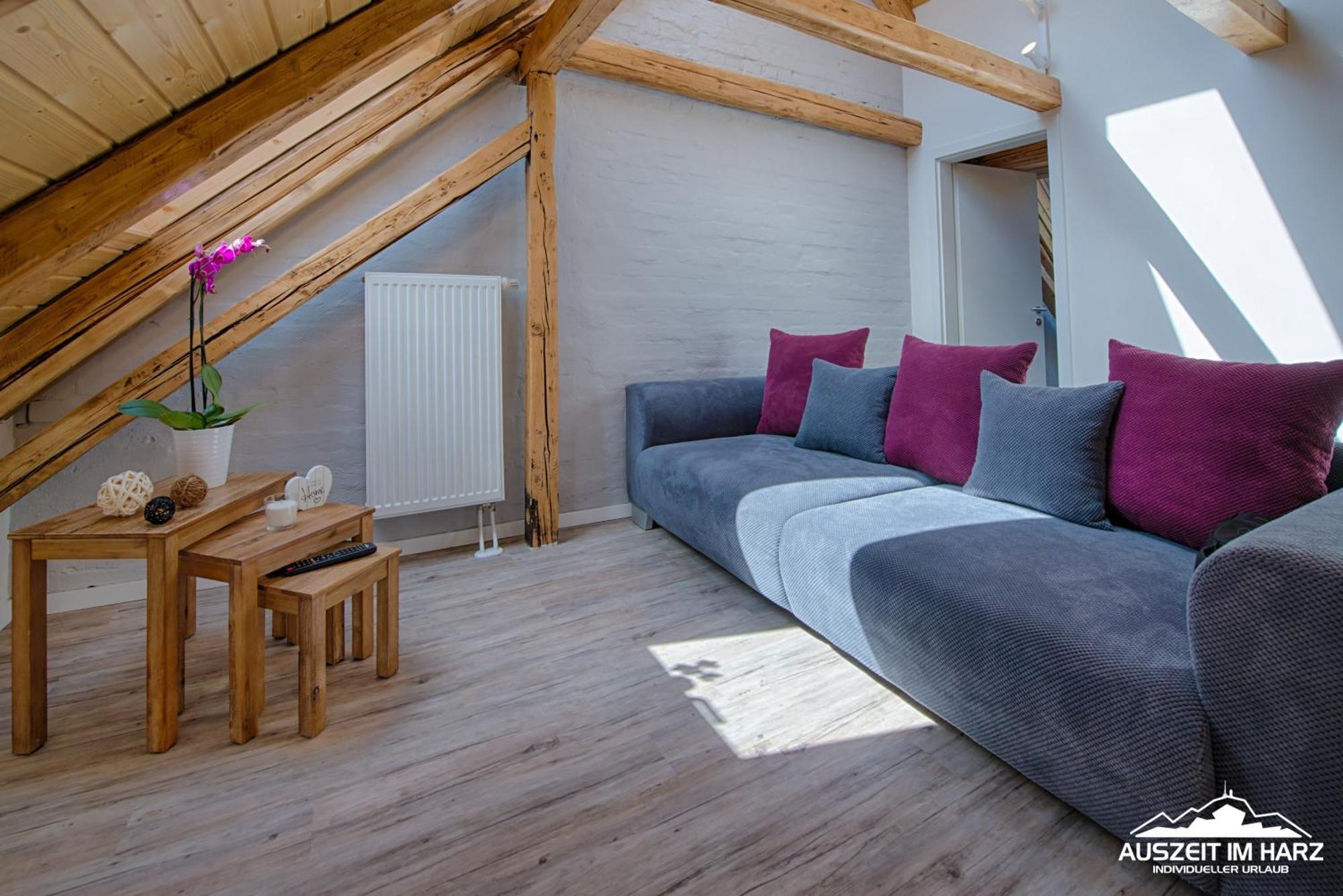 Auszeit Im Harz - Haus 2 Wohnung 5 施尔奇 外观 照片