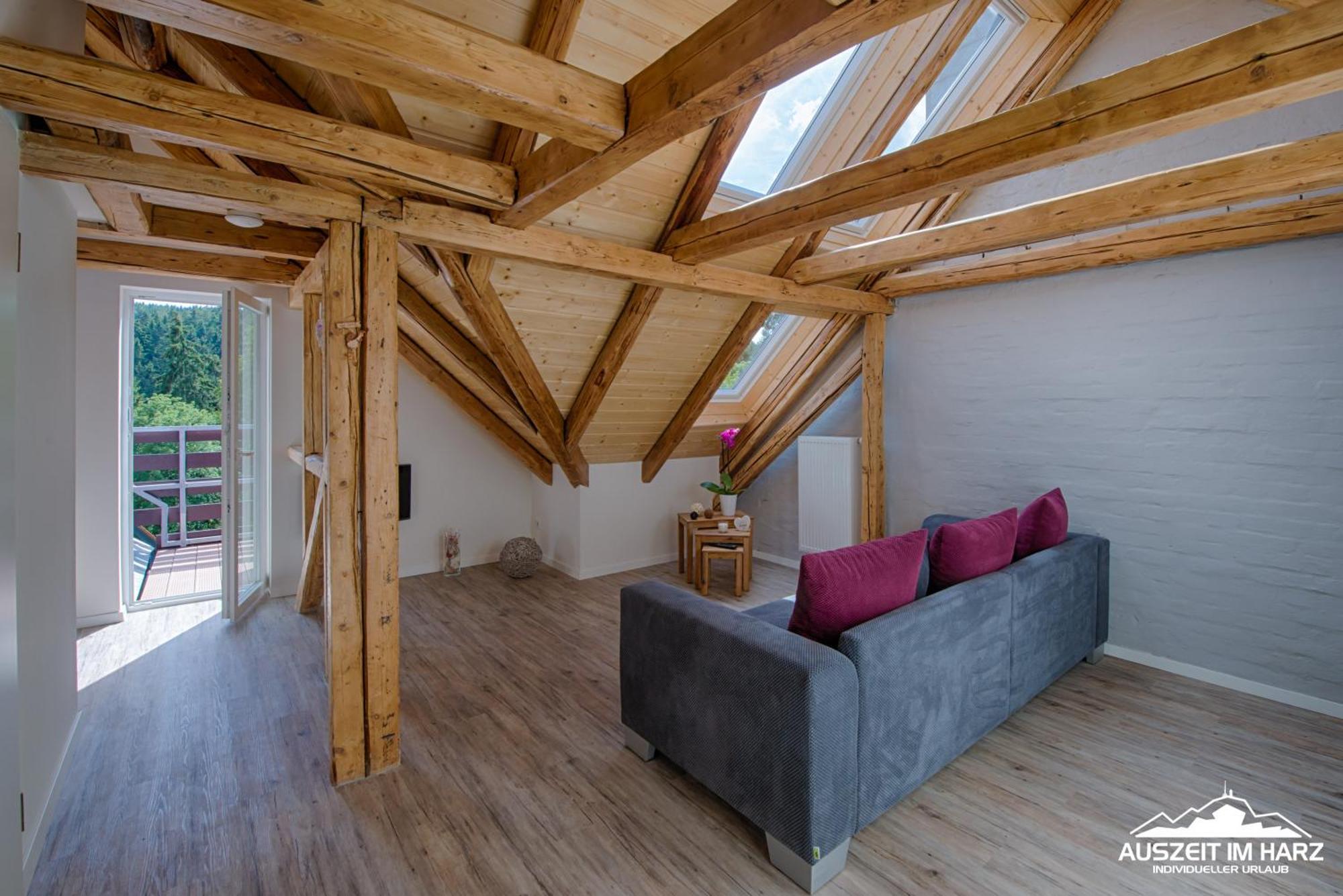 Auszeit Im Harz - Haus 2 Wohnung 5 施尔奇 外观 照片