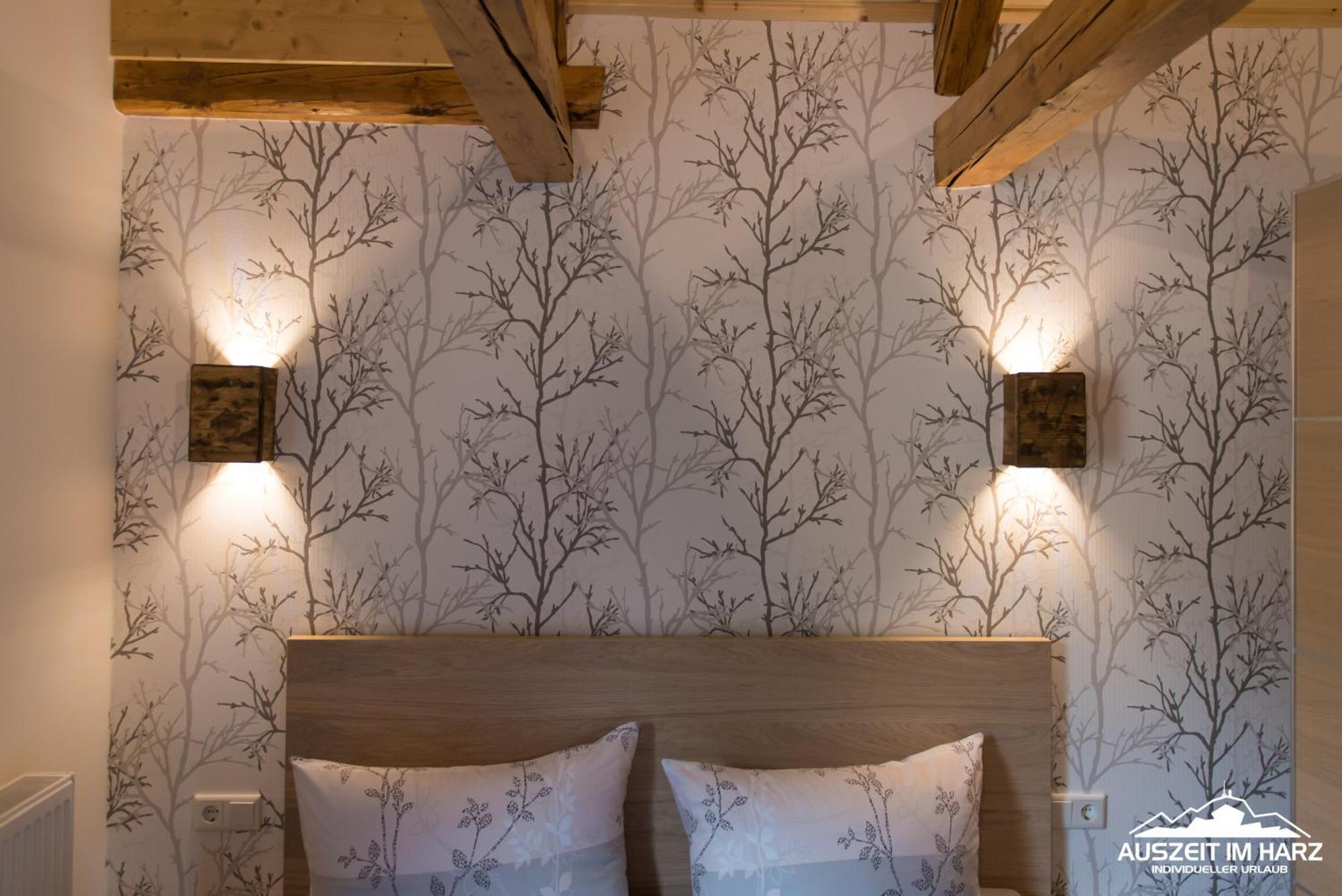 Auszeit Im Harz - Haus 2 Wohnung 5 施尔奇 外观 照片